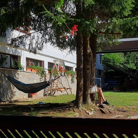Randunica Otel Văliug Dış mekan fotoğraf