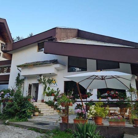 Randunica Otel Văliug Dış mekan fotoğraf