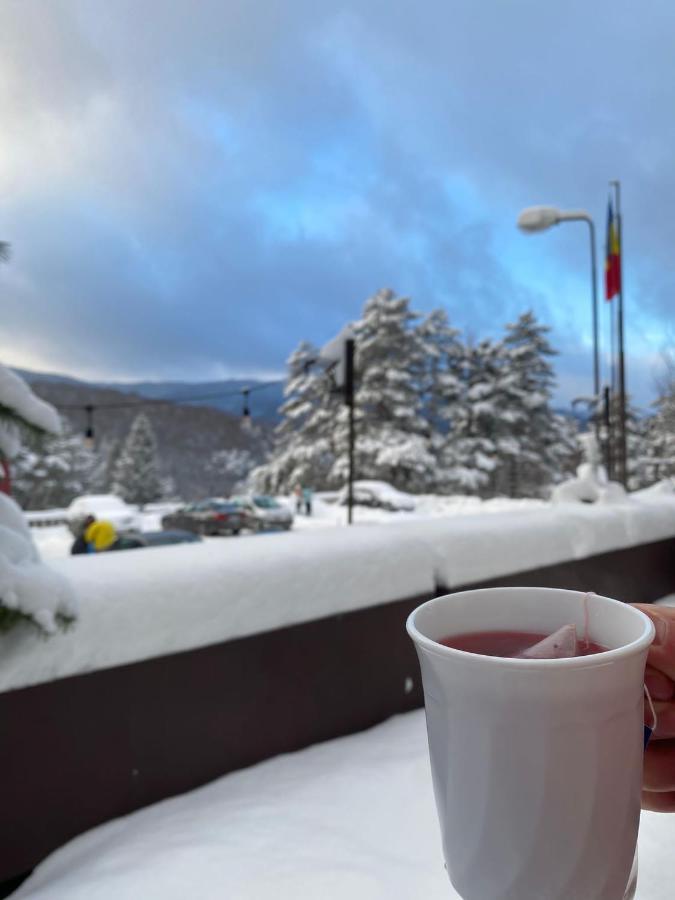 Randunica Otel Văliug Dış mekan fotoğraf