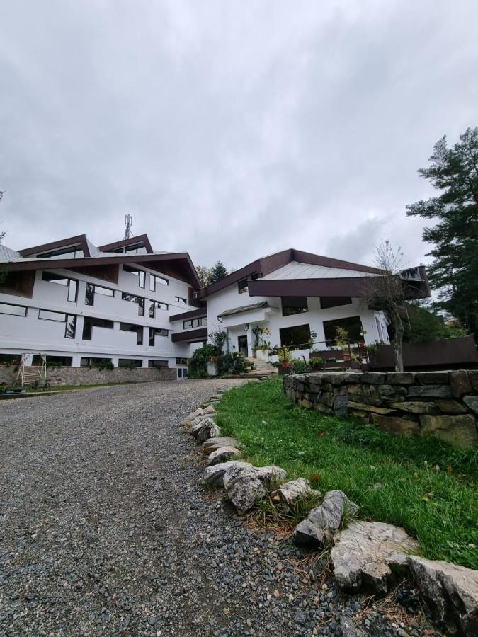 Randunica Otel Văliug Dış mekan fotoğraf
