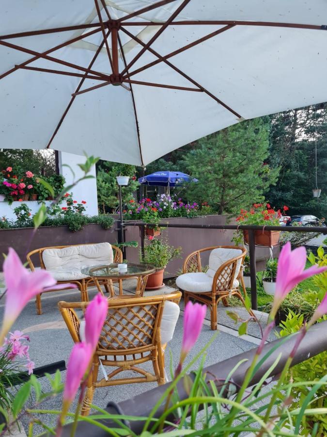 Randunica Otel Văliug Dış mekan fotoğraf