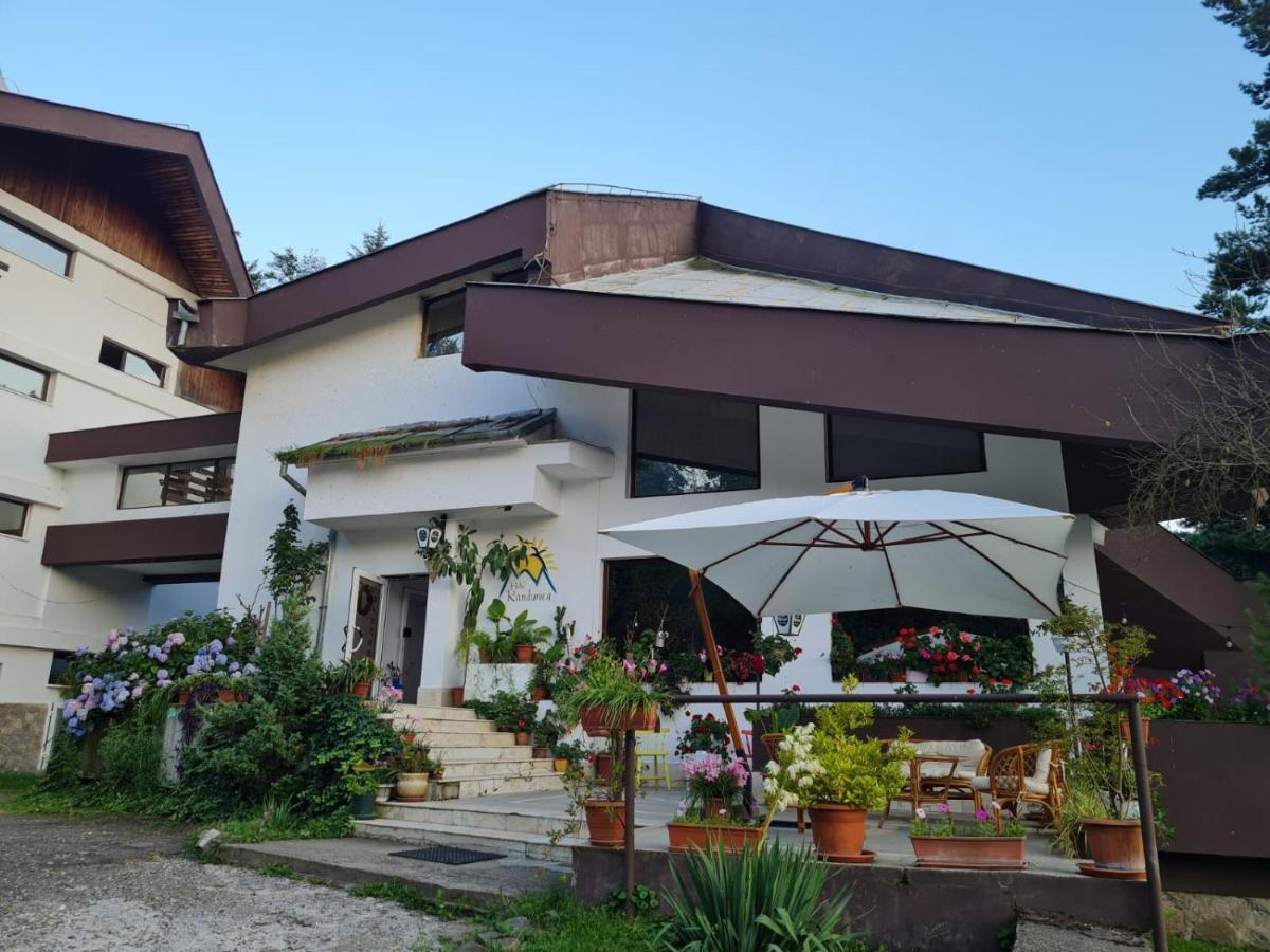 Randunica Otel Văliug Dış mekan fotoğraf