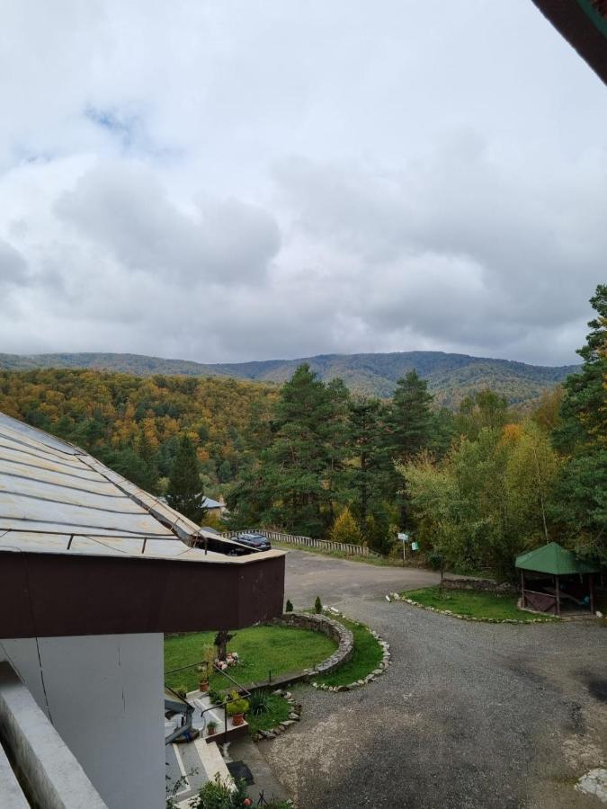 Randunica Otel Văliug Dış mekan fotoğraf