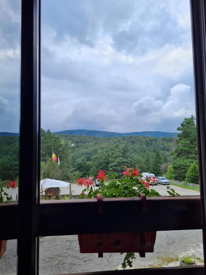 Randunica Otel Văliug Dış mekan fotoğraf