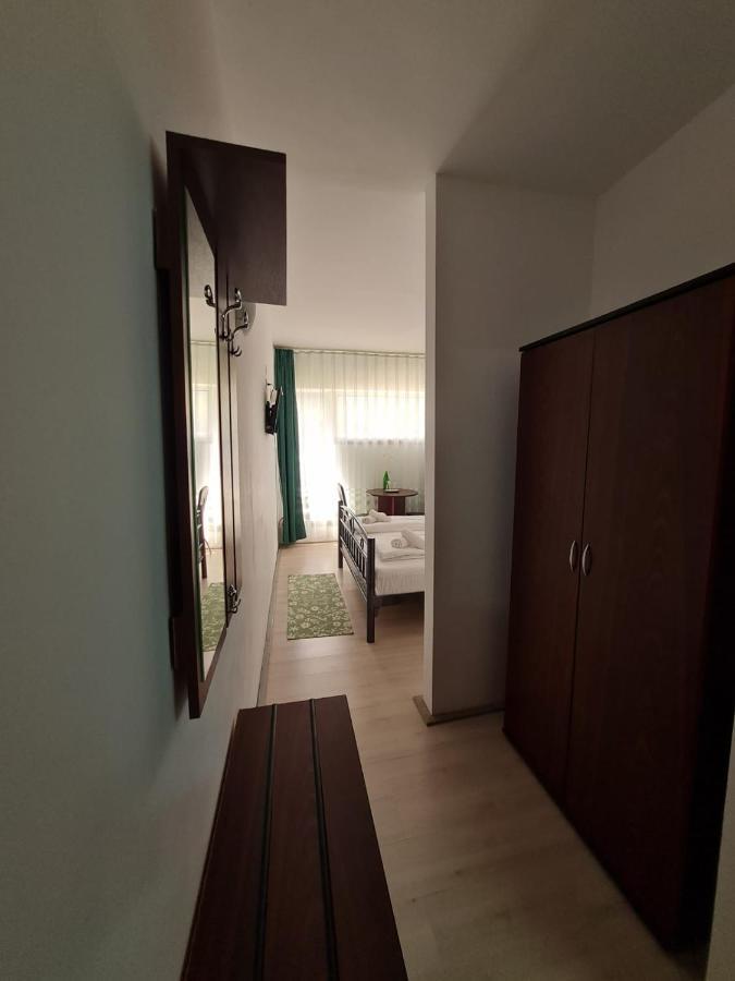 Randunica Otel Văliug Dış mekan fotoğraf
